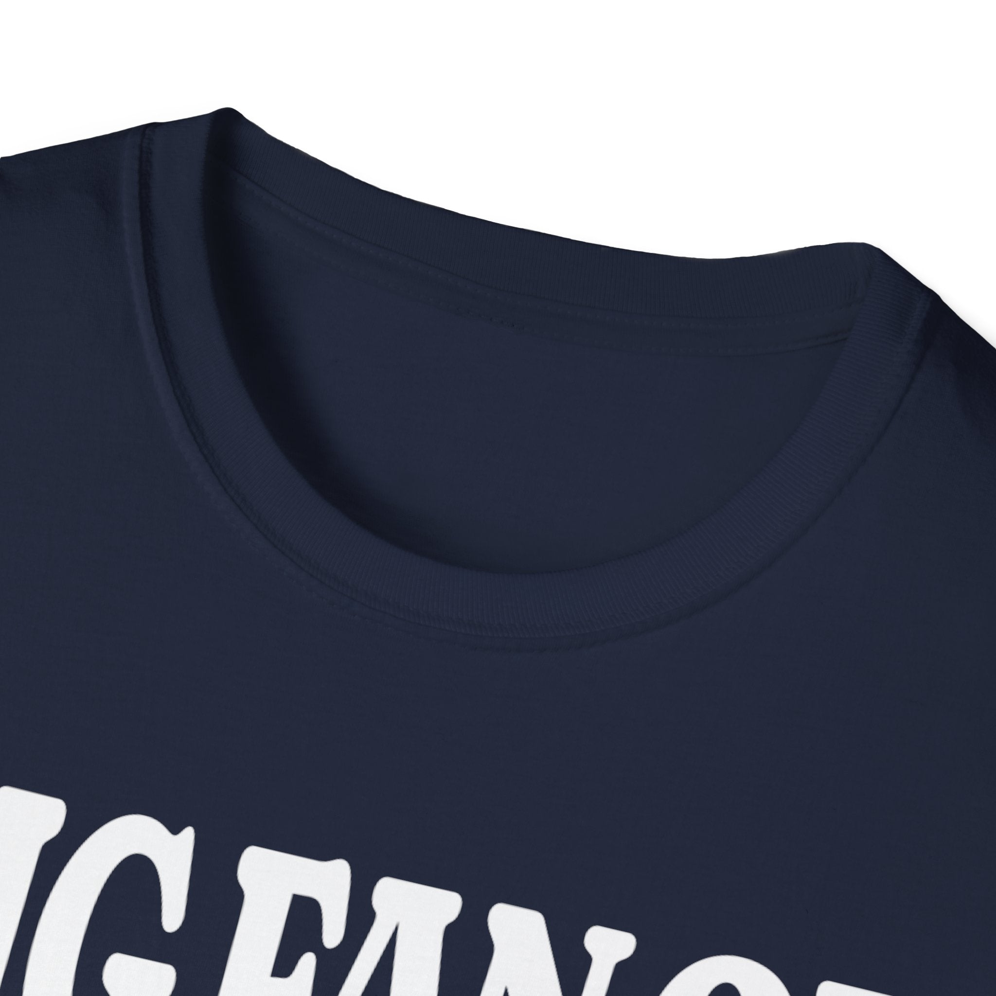 BIG FAN OF TERM LIMITS T-Shirt