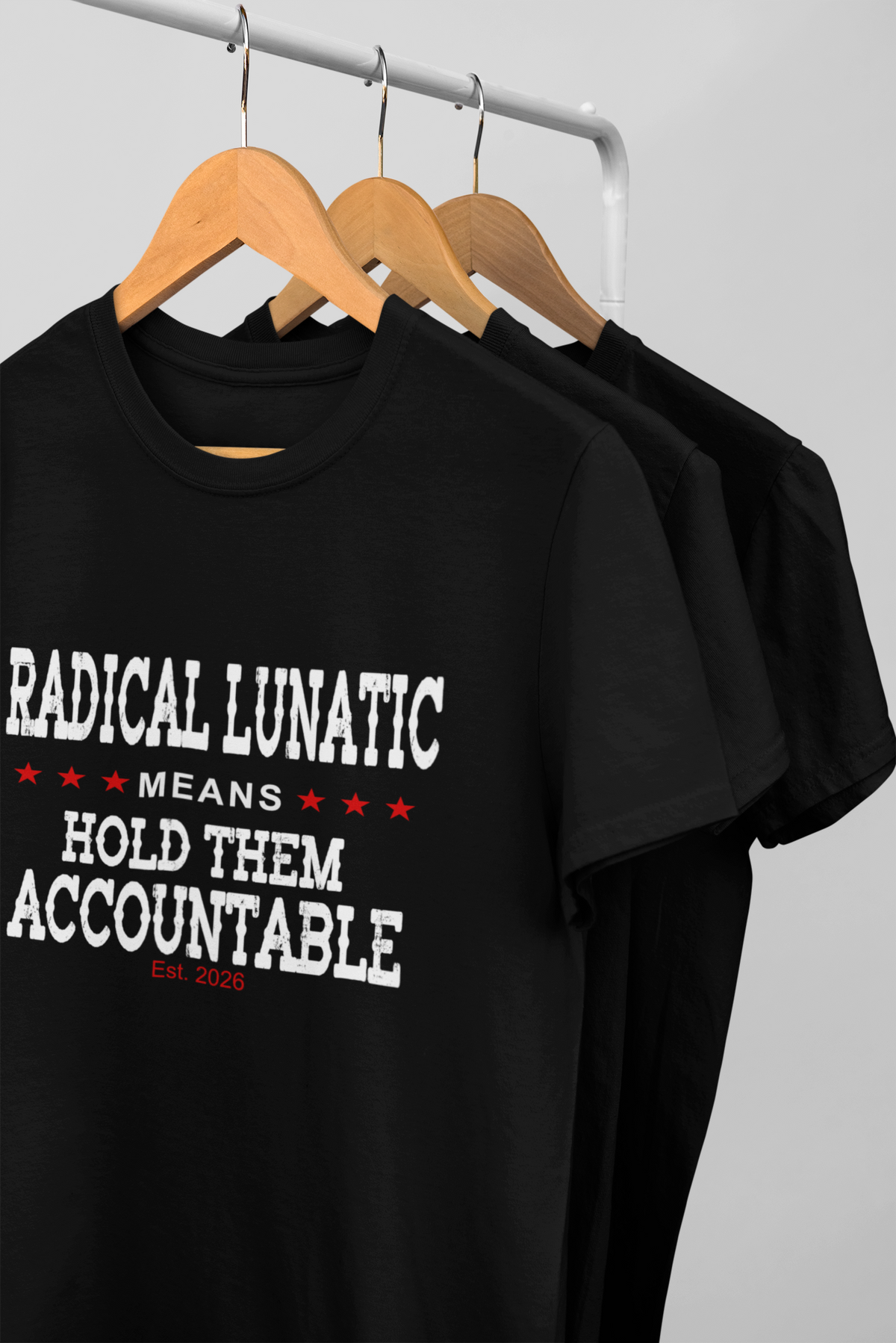 Radical Lunatic Means Hold Them Accountable - Graphic Tee
